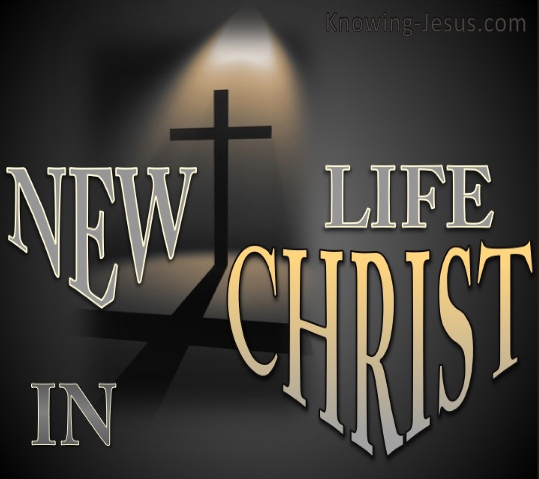 2 Corinthians 5:17 New Life In Christ (devotional)09-25 (gray)